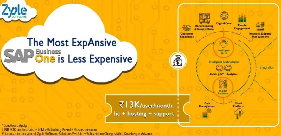 economical investment - SAP business one